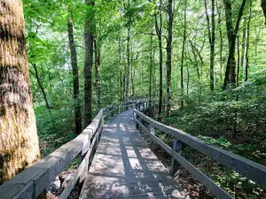 Russell Cave National Monument