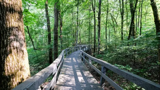 Russell Cave National Monument