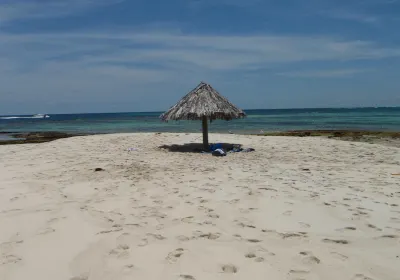Grenadines