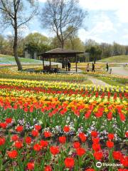 国営讃岐まんのう公園