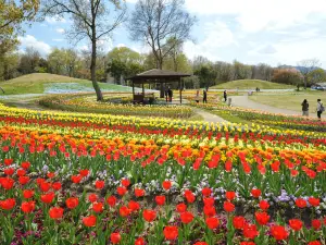 國營讚岐滿濃公園