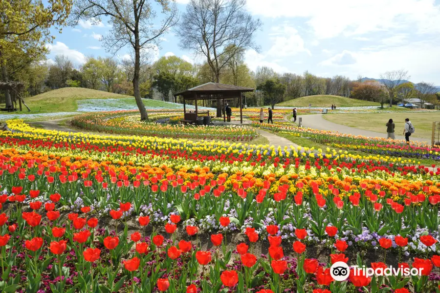 国営讃岐まんのう公園