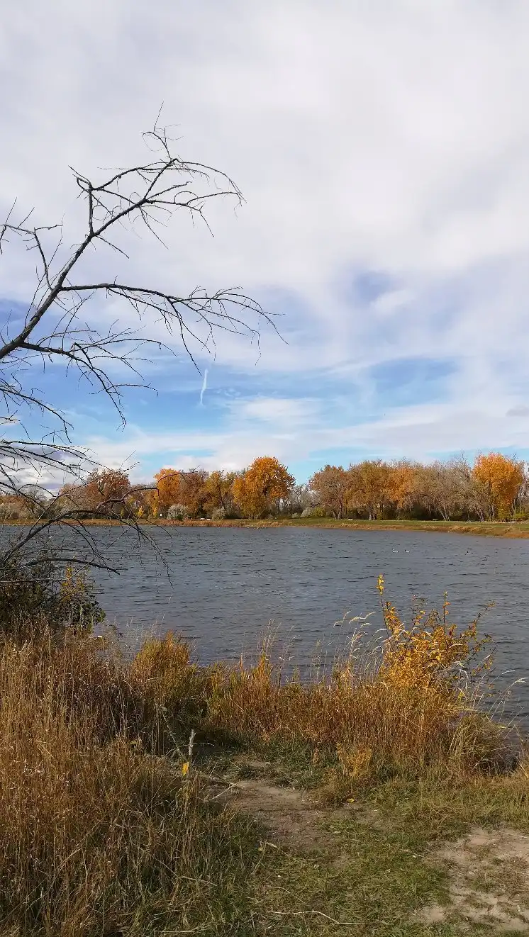 Hotels near Montana Audubon Center