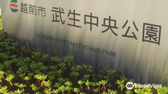 Takefu Central Park