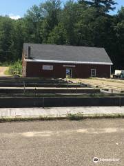 Powder Mill Fish Hatchery