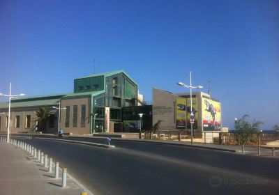 Natural History Museum of Crete