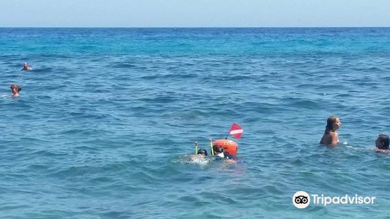 Acquario Cala Gonone