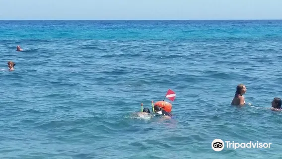 Acquario Cala Gonone