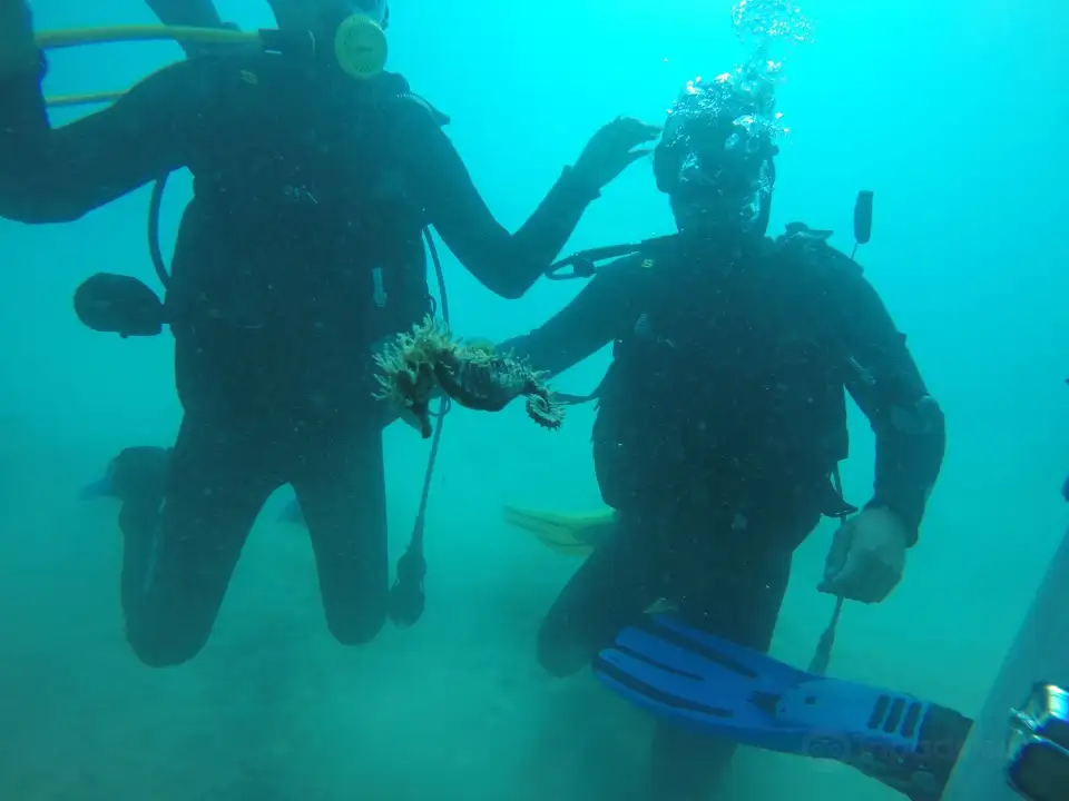 1_BLU Diving Center