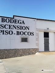 Bodegas Ascension Repiso Bocos