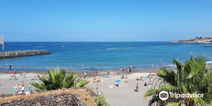 Playa de Torviscas