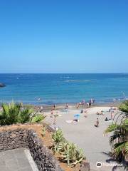 Playa de Torviscas