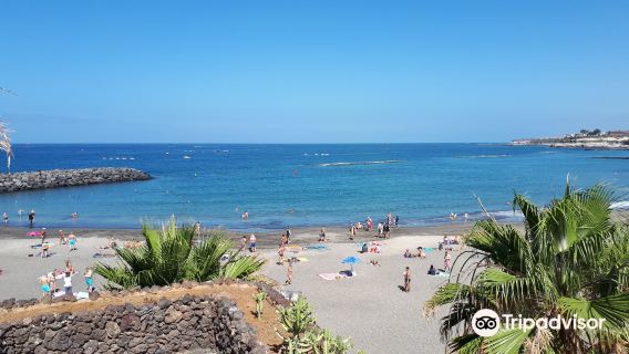 Playa de Torviscas