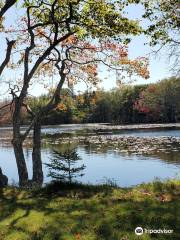 Glenwood Provincial Park