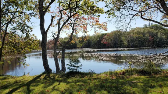 Glenwood Provincial Park