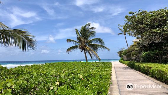 The Richard Haynes Boardwalk