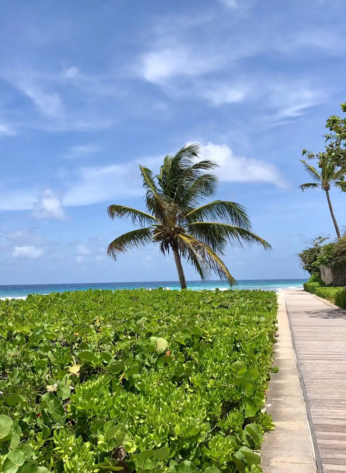 鄰近South Coast Boardwalk的酒店