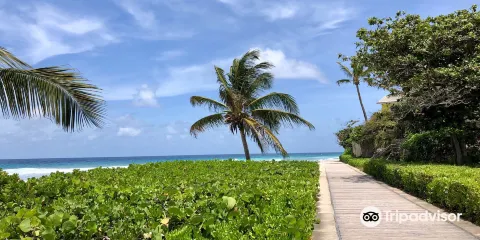 South Coast Boardwalk
