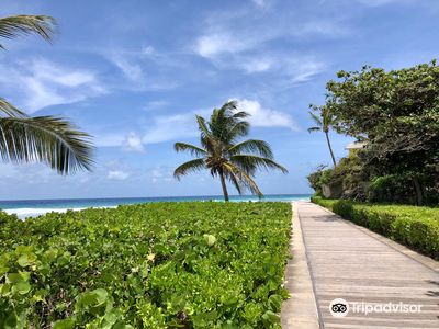The Richard Haynes Boardwalk