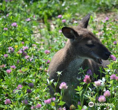 Animal Park of Saint-Clar