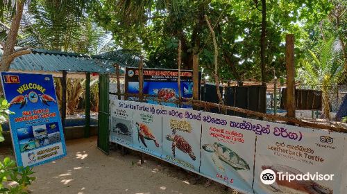 Sea Turtle Hatchery Centre, Mahamodara