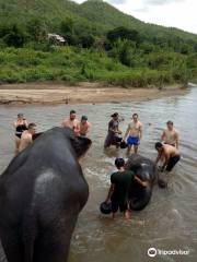 La Communauté De Conversation Des éléphants Maeklang