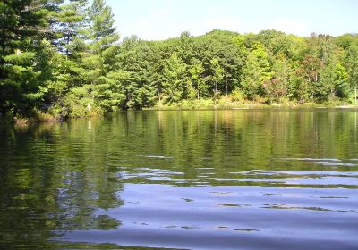 Lioness Lake