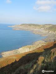 Walk - Morte Point Trail