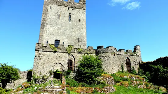 Clonony Castle