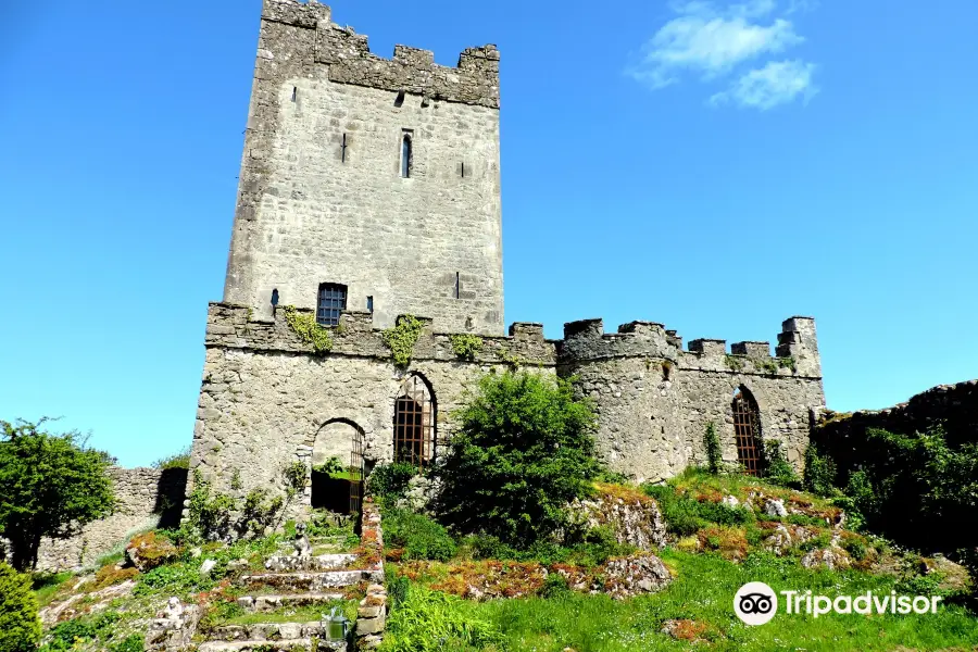 Clonony Castle