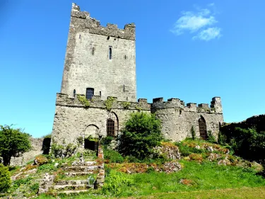 Offaly