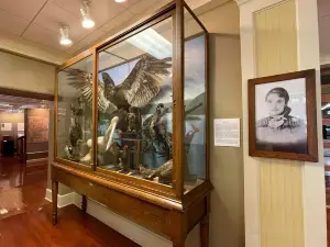 Guntersville Museum