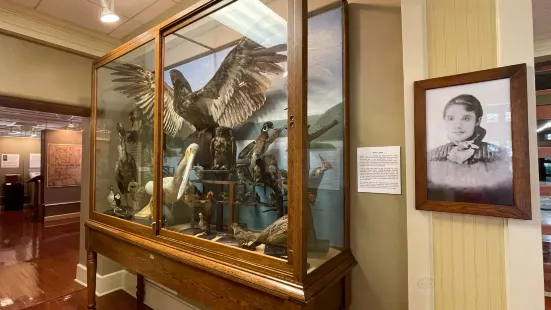 Guntersville Museum