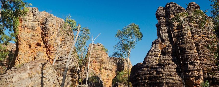 Caranbirini Conservation Reserve