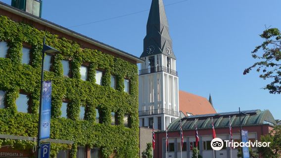 Molde
