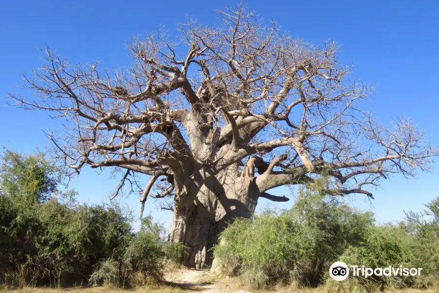 Mahango Game Reserve