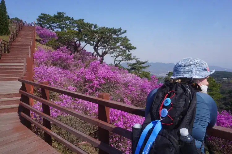 Hotels near Goryeosan Mountain