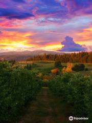 Boa Vista Orchards