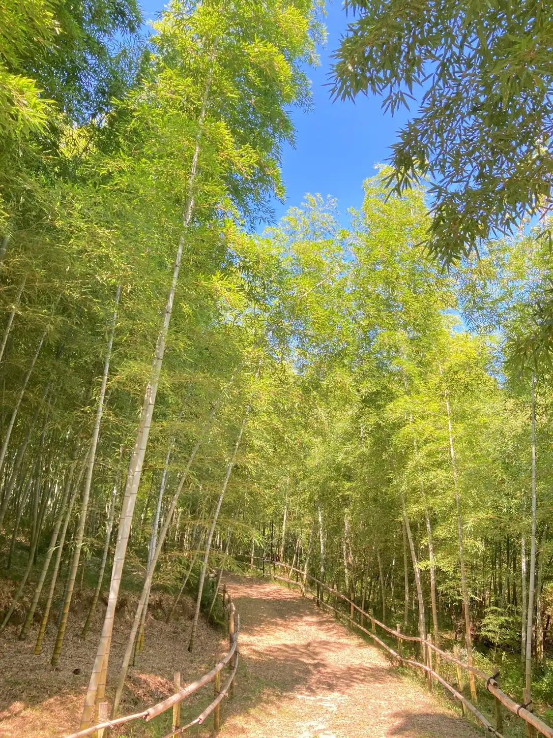 Các khách sạn gần Tenpaku Park