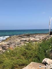 Spiaggia di Torre Canne