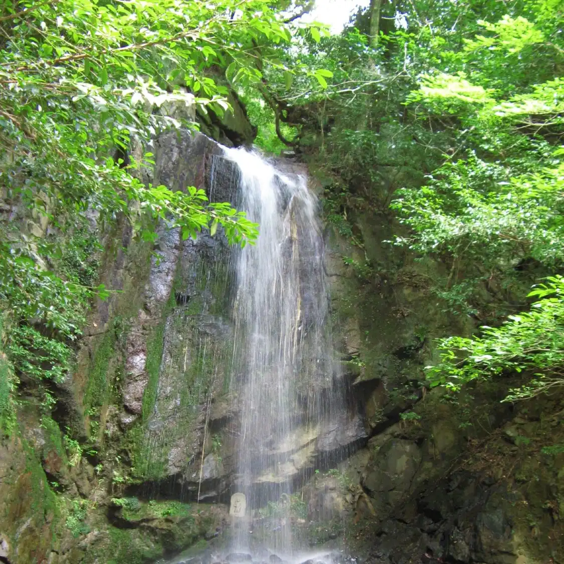 Hotels near Momoono Falls