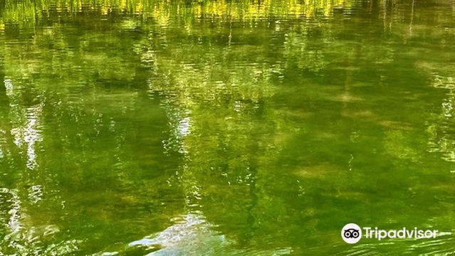 Sugatami-no-ike Pond