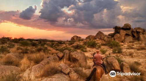 McDowell Sonoran Preserve