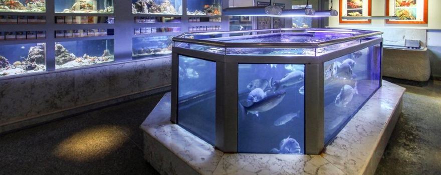 Aquarium Piran