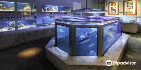 Piran Aquarium