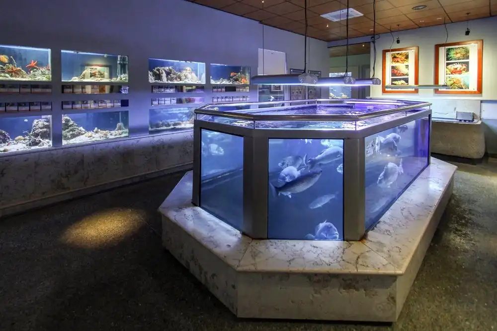 Hotels near Aquarium Piran