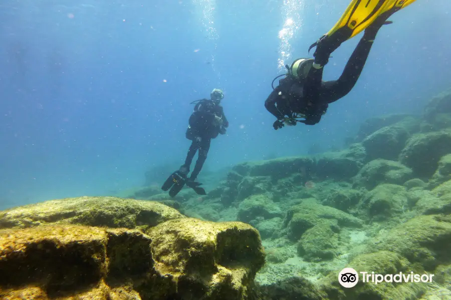 Herbie's Diving Paradise