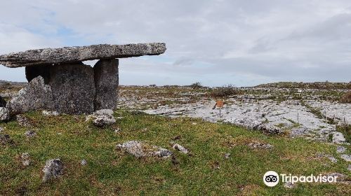 Poulnabrone Dolmen