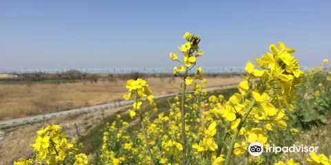 利根川
