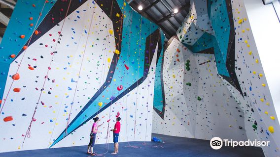 Camp5 Climbing Gym Paradigm